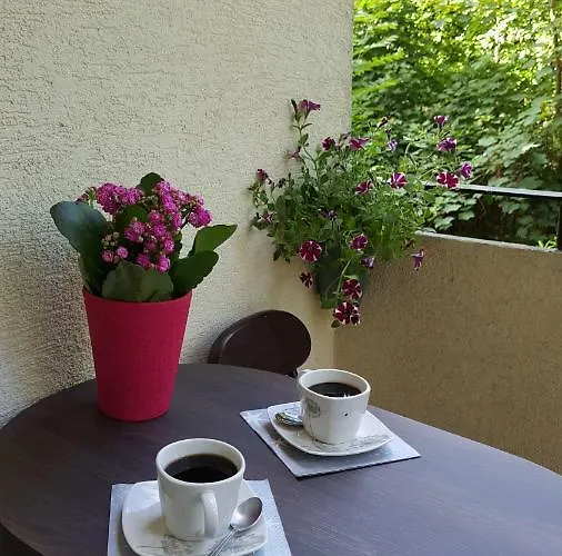 Cichy Zakatek Apartment *