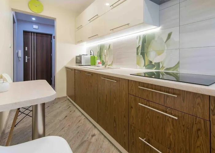 Cichy Zakatek Zakopane